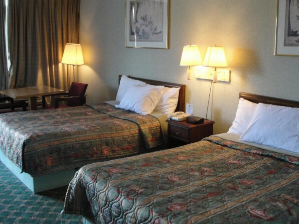 Budget Inn image 8